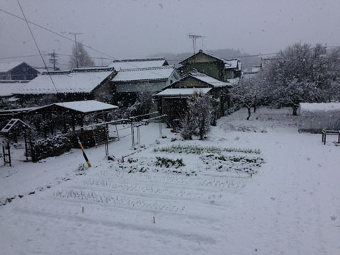 週末の積雪