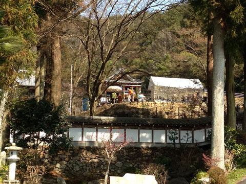 境内マルシェ