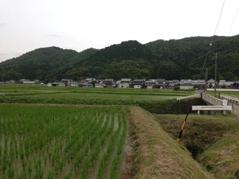 里山風景