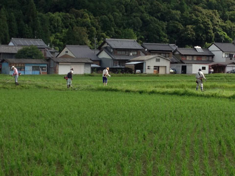 里山風景