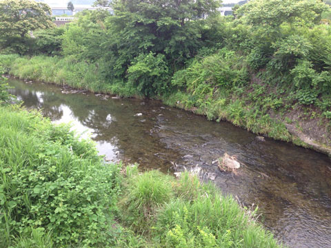 川浦川