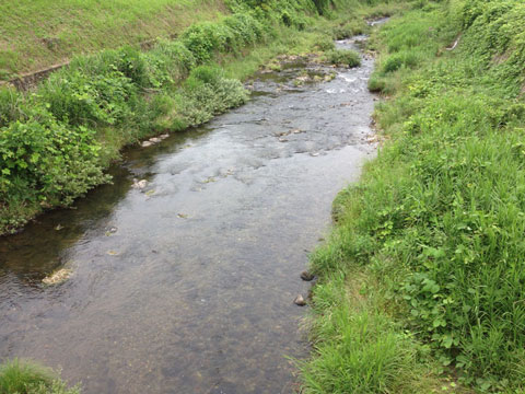 川浦川