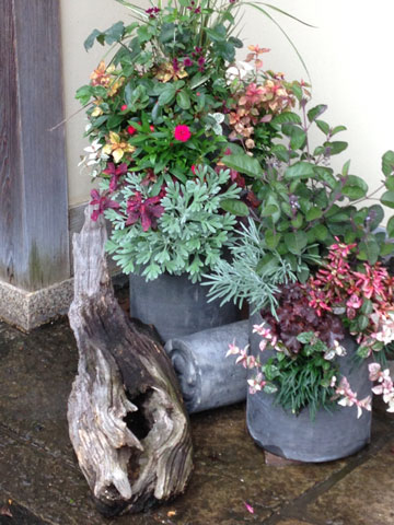 寄せ植え