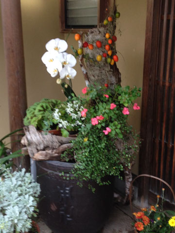 寄せ植え