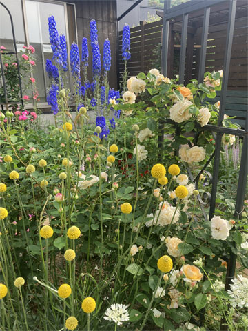 jagar's garden