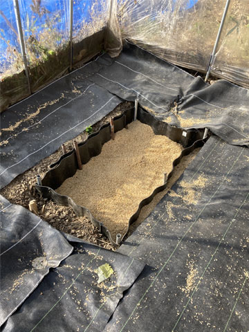 �T�c�}�C���̕ۑ��p�̌�