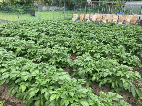 ���������R