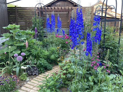 �H�[�̒�Â���