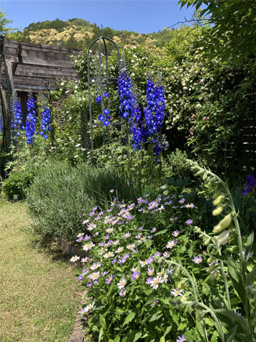 �H�[�̒�Â���