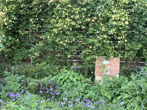 �H�[�̒�Â���