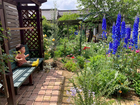 �H�[�̌i�F�Â���