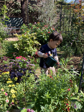 �H�[�̌i�F�Â���