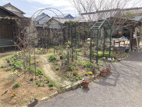 �A�g���G�O�̒�