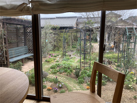 �A�g���G�̒����猩���