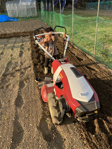 �������Ɖ߂�������