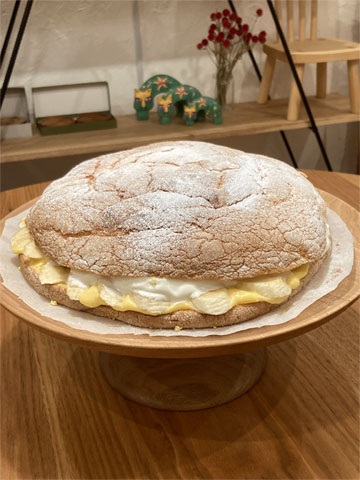 �o�i�i�u�b�Z