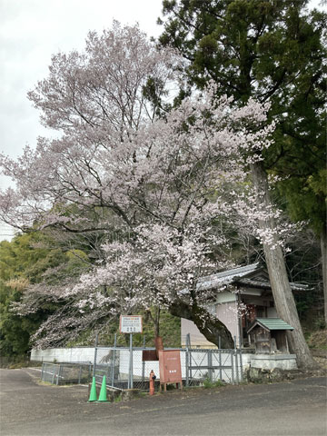 �H�[���̒n�����̍�