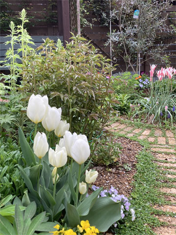 �`���[���b�v