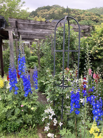 jagar's garden