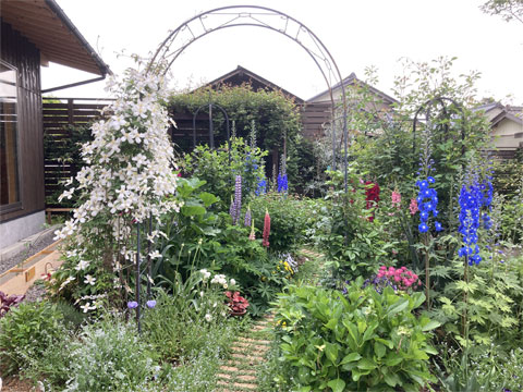 jagar's garden