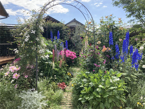 jagar's garden