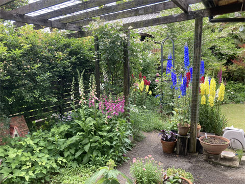 jagar's garden