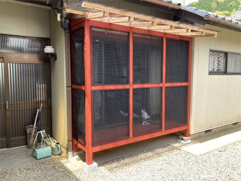 CATIO