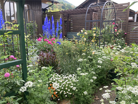 �؍H�̌��v���O�����͂����̃T�[�r�X�t��